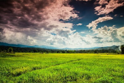 10 Day Motorcycle Tour (Amazing Thailand) from Chiang Mai - Doi Inthanon’s High-Elevation Start: Day 1 From Chiang Mai Toward the Clouds