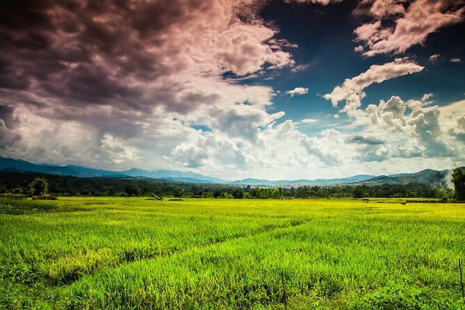 10 Day Motorcycle Tour (Amazing Thailand) from Chiang Mai - Doi Inthanon’s High-Elevation Start: Day 1 From Chiang Mai Toward the Clouds