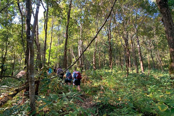 3-Day Chiang Dao Mountain Trek - Day 3: the 3-hour descent to the Maetang River valley and a riverside finish