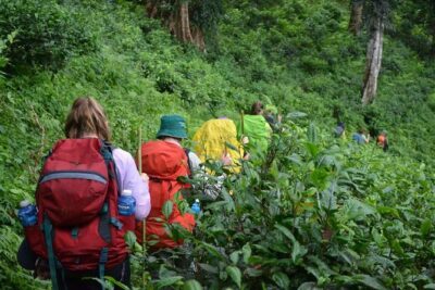 3-Day Chiang Dao Mountain Trek - Day 2: plantation breakfast, jungle ridges, and the hardest day of the hike