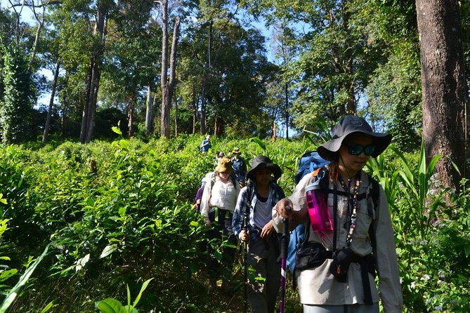3-Day Chiang Dao Mountain Trek - Guides and group size: why the trek feels personal