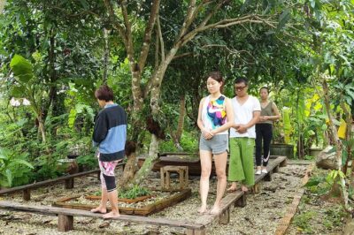 3 day Yoga and Meditation Retreat in Chiang Mai - Day 1 Arrival: Nature Time, Optional Mindfulness, Evening Yoga