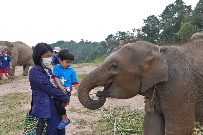 3-in-1: Doi Inthanon Tour, Elephant Sanctuary, and Trekking Trail - The Phak Dok Seaw trek and Pha Dok Siew Waterfall (where slippery matters)