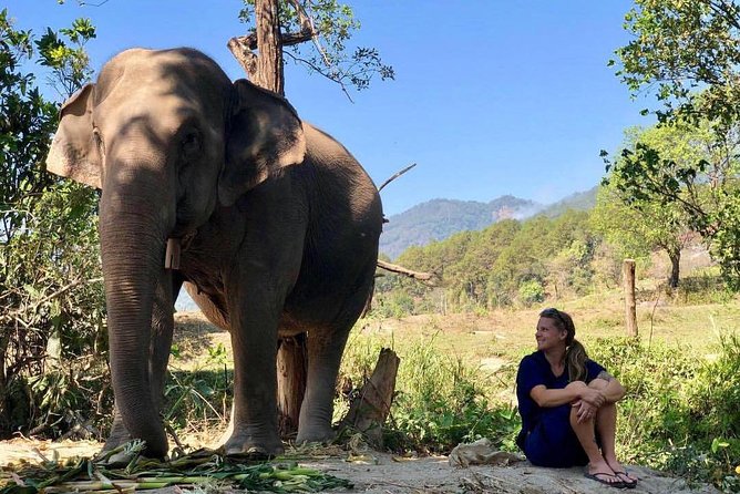 3-in-1: Doi Inthanon Tour, Elephant Sanctuary, and Trekking Trail - Timing, pickup, and road reality from Chiang Mai