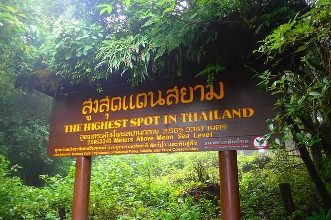 3-in-1: Doi Inthanon Tour, Elephant Sanctuary, and Trekking Trail - Lunch, water, and what makes the day feel manageable