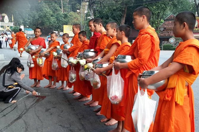 4 highlights: Sticky Waterfall/Elephants/local market /Wat Banden - Price and logistics: why $65 can make sense here