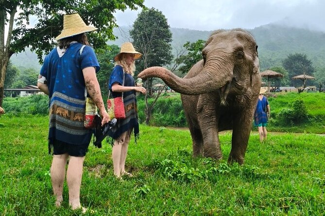 4 in 1 Elephants Long Neck Rafting and Sticky Waterfall Tour - Rafting in Mae Taeng: white water vs bamboo calm