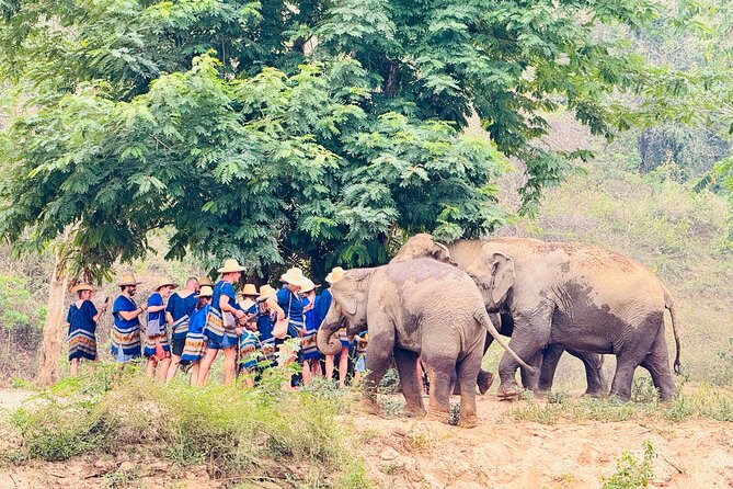 4 in 1 Elephants Long Neck Rafting and Sticky Waterfall Tour - What to bring for a wet, active day in Chiang Mai
