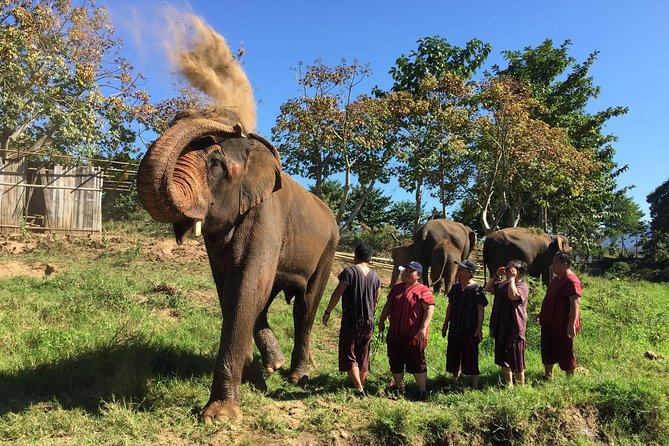 5 Day Tuk Tuk Adventure in Chiang Mai - with driver - Mountain tuk tuk travel that actually feels efficient