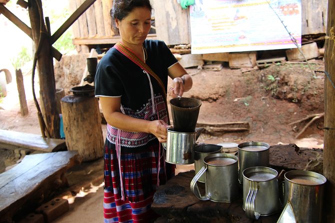 5 Day Tuk Tuk Adventure in Chiang Mai - with driver - Day 2: Maevang Elephant Home in the Mae Sapok region
