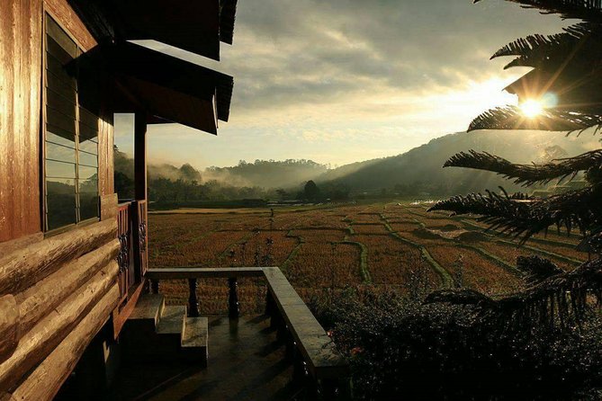 5 Day Tuk Tuk Adventure in Chiang Mai - with driver - Food included: where it saves you real money and time