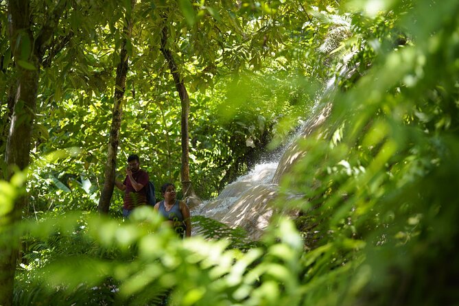 Bua Tong Waterfall Adventure& Huge Cave included Thai Buffet Tour - Timing, pickup, and the air-conditioned van that saves your morning