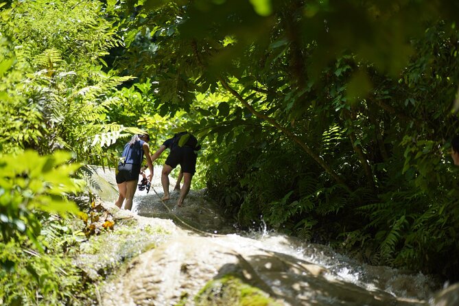 Bua Tong Waterfall Adventure& Huge Cave included Thai Buffet Tour - Price and value: what $34.07 buys you in the real world