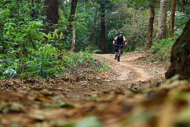 Buffalo Soldier Full Day Mountain Biking Tour Chiang Mai - Coffee, Lunch, and Snack Stops That Keep You Riding