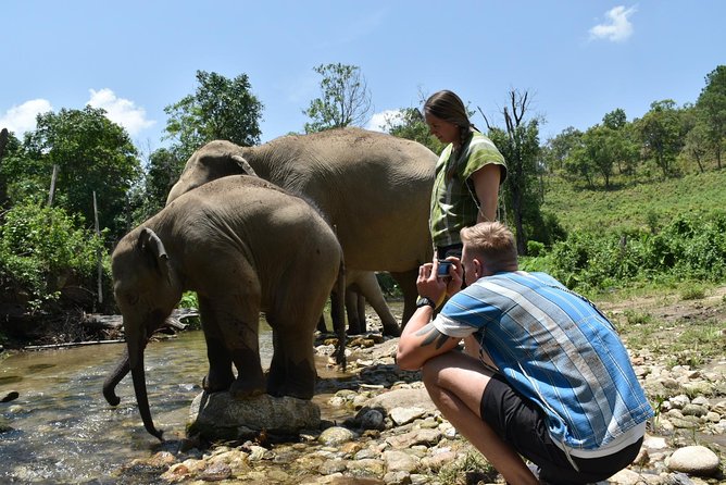 Care Pride Elephants: Full-Day Tour Experience - Thai lunch on-site and what to pack for a wet day