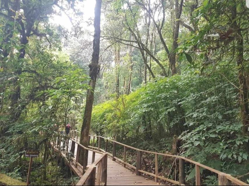 Chang Mai: Doi Inthanon Day Tour w/Waterfalls & Hilltribes - King’s and Queen’s Pagodas: Architecture Meets Weather