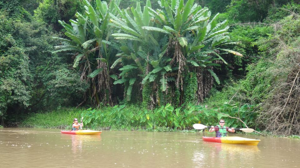 Chiang Mai: 15 km Leisure River Kayaking at Mae Ngat forest - Key moments that make this kayak day worth it