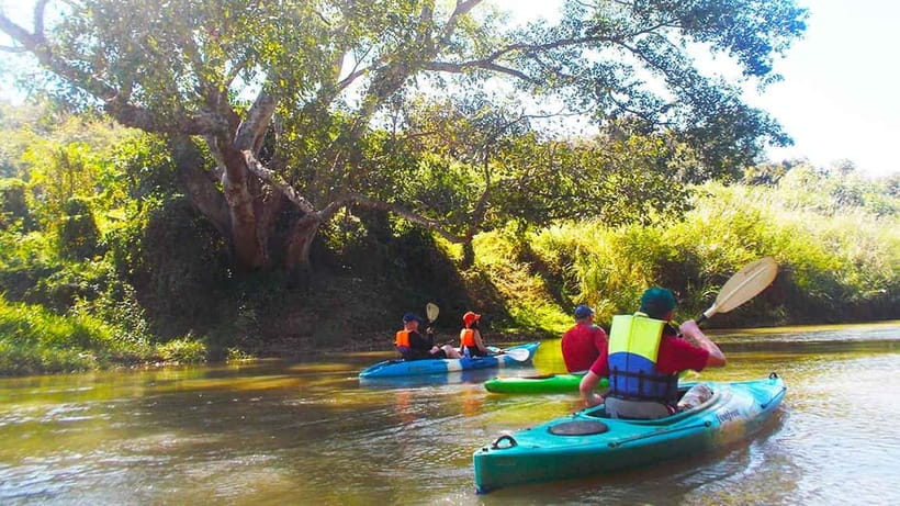 Chiang Mai: 15 km Leisure River Kayaking at Mae Ngat forest - Safety and support that let you enjoy the day