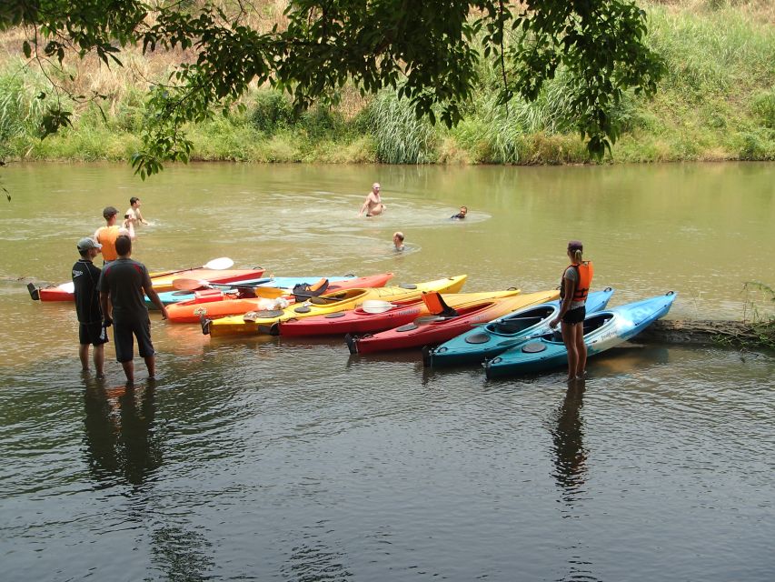 Chiang Mai: 15 km Leisure River Kayaking at Mae Ngat forest - Price and what you actually get for $62
