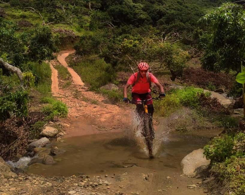 Chiang Mai: 20km Downhill Mountain Biking Challenge Suthep M - Quick hits before you pedal