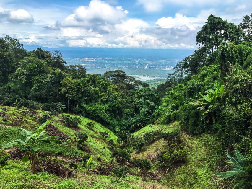 Chiang Mai: 20km Downhill Mountain Biking Challenge Suthep M - Transportation and timing: how the day flows
