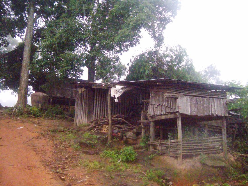 Chiang Mai: 20km Downhill Mountain Biking Challenge Suthep M - The downhill run: forest tracks, hill tribe village passing, and viewpoints