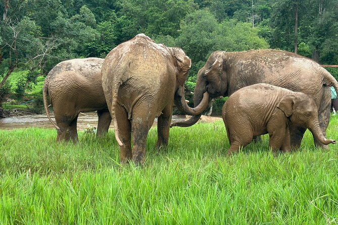 Chiang Mai 3 in 1 Zipline, Elephants and Sticky Waterfall - What to bring for a smooth 7-hour outdoor day