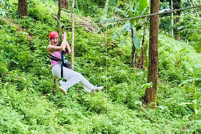 Chiang Mai 3 in 1 Zipline, Elephants and Sticky Waterfall - Elephant sanctuary time: feeding, walking, and learning the caretakers’ role