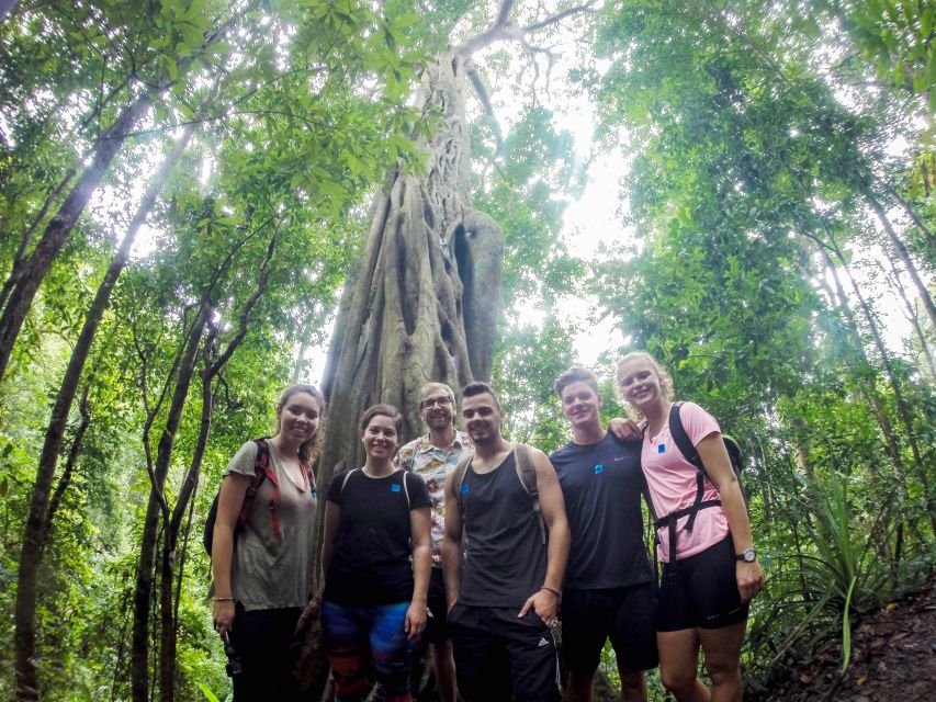 Chiang Mai: 7-Hour Doi Suthep National Park Summit Hiking - Key highlights you should care about