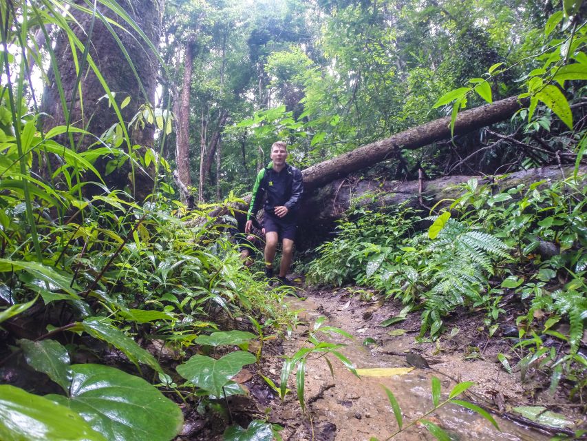 Chiang Mai: 7-Hour Doi Suthep National Park Summit Hiking - What to bring for a steep Chiang Mai summit day