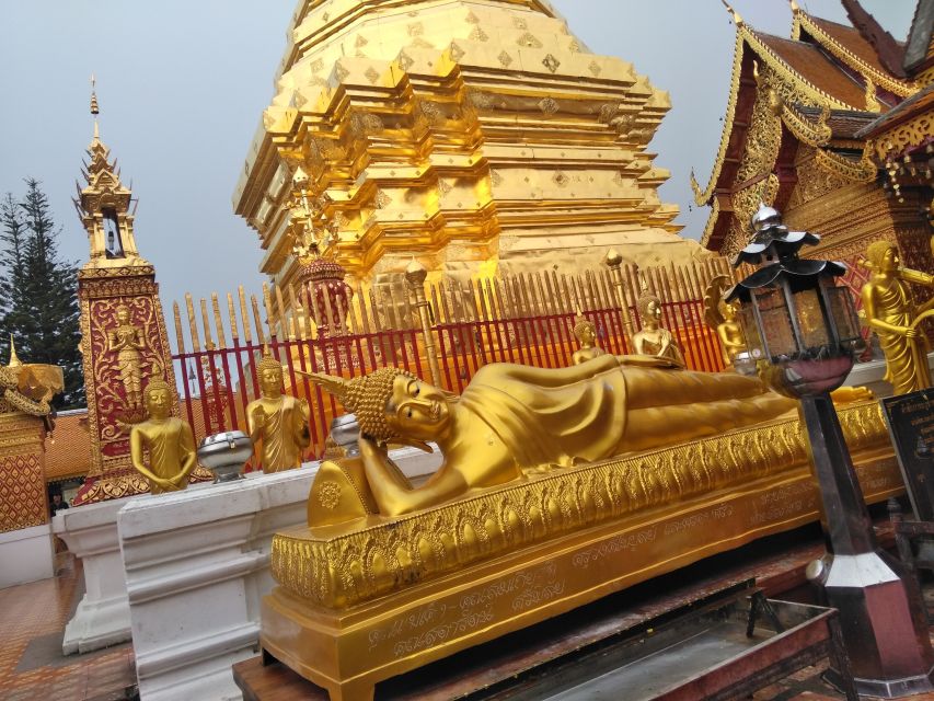 Chiang Mai: 7-Hour Doi Suthep National Park Summit Hiking - The lunch-and-views pause: plan for later timing