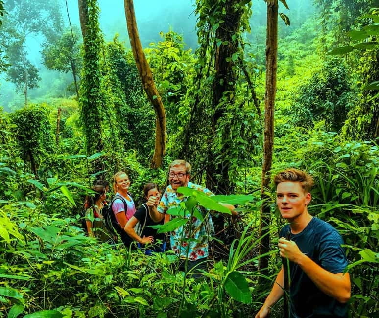 Chiang Mai: 7-Hour Doi Suthep National Park Summit Hiking - Price and value: is $60 fair for a tough day?