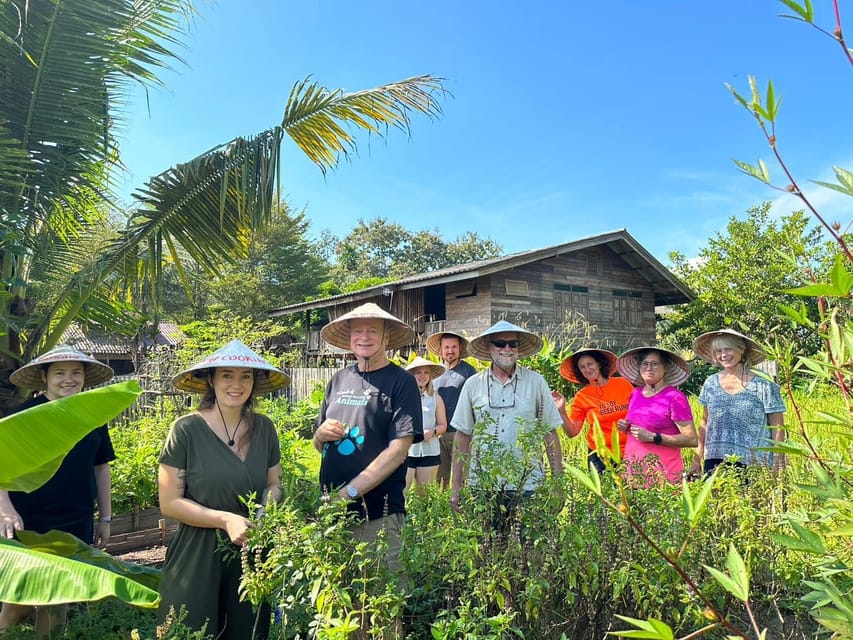 Chiang Mai: Asia Scenic Thai Cooking School - From Chiang Mai market stalls to your cutting board