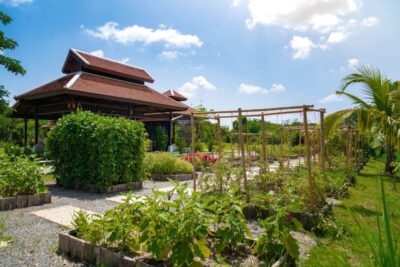 Chiang Mai: Authentic Cooking Class with Market & Farm Visit - Hotel pickup and timing: when the day actually starts