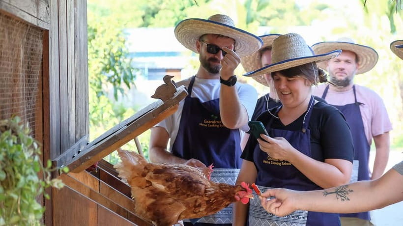 Chiang Mai: Authentic Cooking Class with Market & Farm Visit - Grandma’s organic farm: chickens, eggs, mushrooms, and herb smells