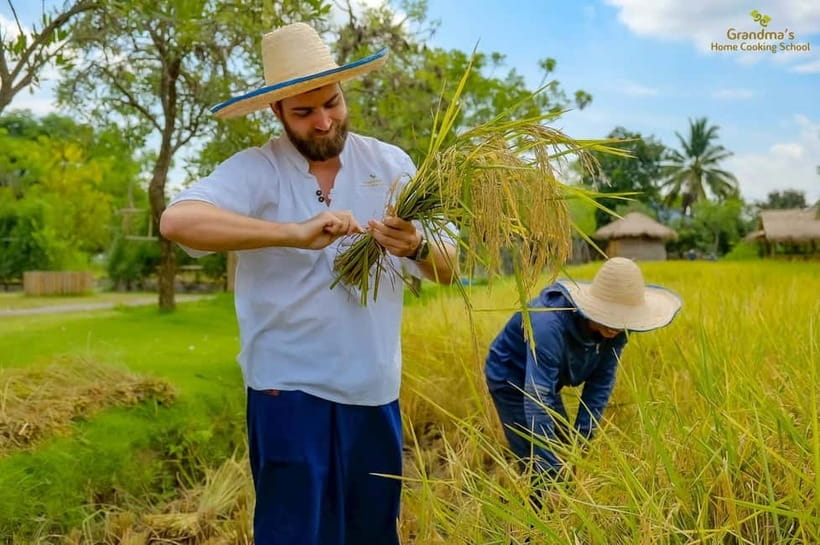 Chiang Mai: Authentic Cooking Class with Market & Farm Visit - Morning vs Afternoon vs Evening vs Full Day: picking the right length