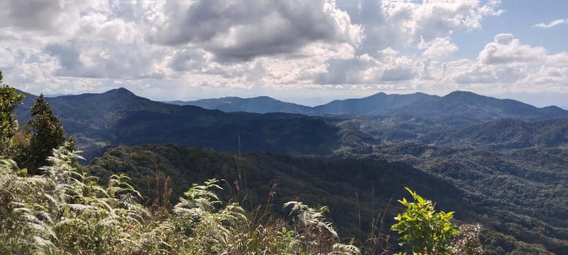 Chiang Mai Authentic Trekking - Key highlights you’ll feel from the start