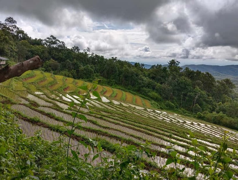 Chiang Mai Authentic Trekking - Phalai Mountain peak: big views plus a forest lunch pause