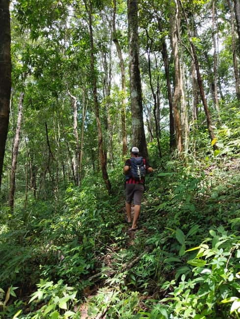 Chiang Mai Authentic Trekking - After lunch: hill tribe farms and the crops you’ll recognize