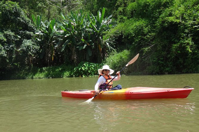 Chiang Mai Biking & River Kayak : Gentle Thrills in a Lush Valley - Key things to know before you pedal and paddle