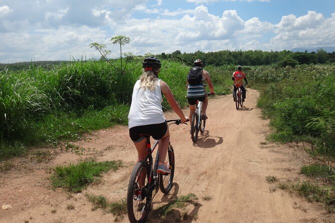 Chiang Mai Biking & River Kayak : Gentle Thrills in a Lush Valley - Paddling the Ping River in the jungle reserve