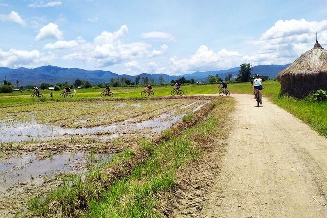 Chiang Mai Biking & River Kayak : Gentle Thrills in a Lush Valley - Lunch at Mango Plantation Restaurant: a real break, not a token meal