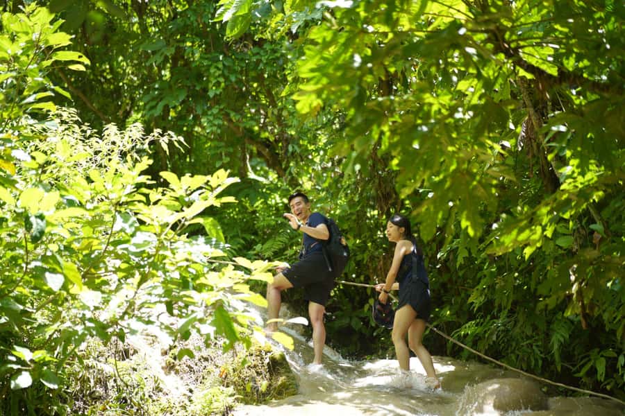 Chiang Mai: Bua Thong Sticky Waterfall & Huge Cave & Buffet - Key highlights at a glance