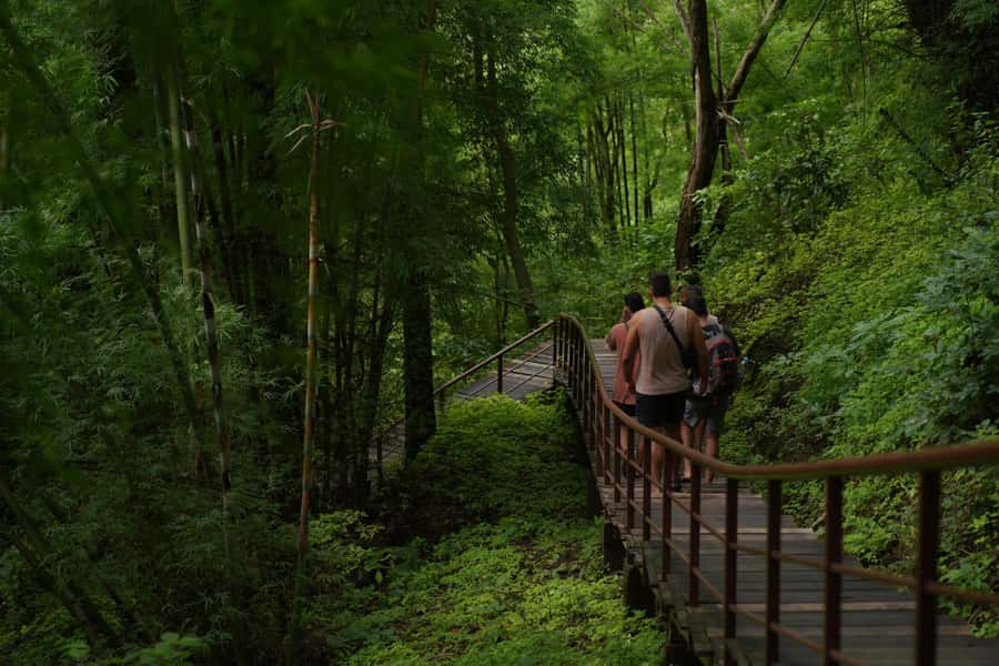 Chiang Mai: Bua Thong Sticky Waterfall & Huge Cave & Buffet - Transport and timing: from 8:30 pickup to a 15:00 return