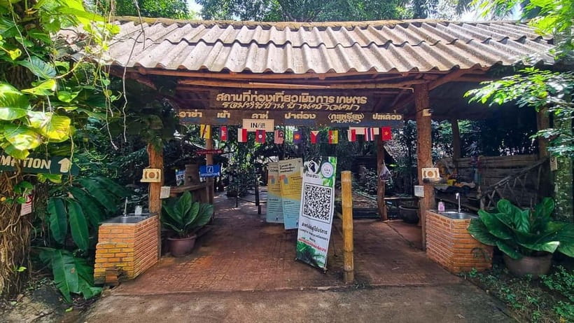 Chiang Mai: Chiang Rai Temples, Golden Triangle & Boat Tour - The road breaks that keep the day manageable