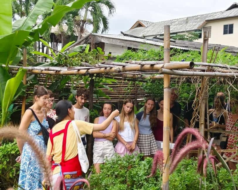 Chiang Mai: Cooking Class, Market & Thai Herbs Garden Tour - What You Cook: Pad Thai Options, Curries, and Mango Sticky Rice