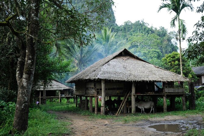Chiang Mai Day Tour: Chiang Dao Cave and Hill Tribes - Guides make or break it: the Emy factor and why the explanations feel practical