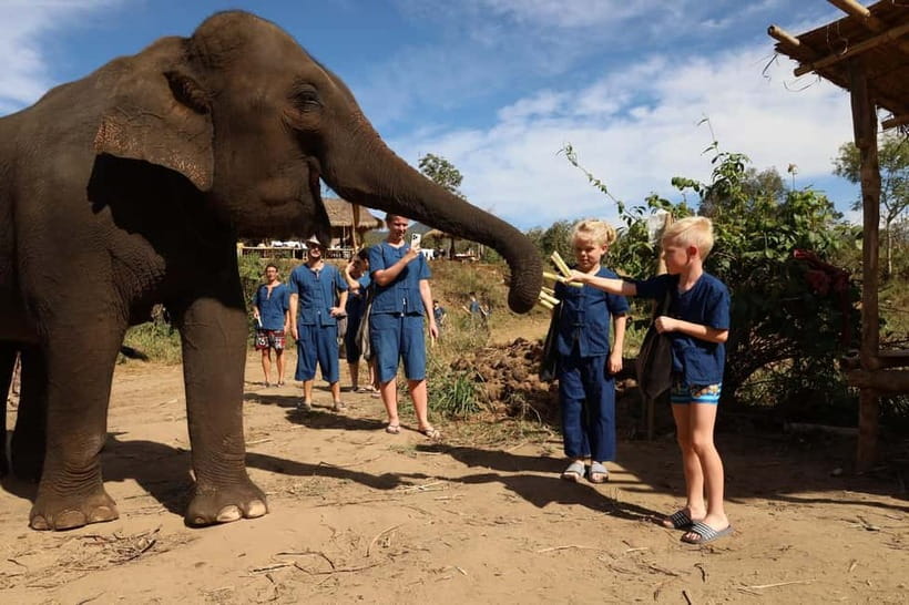 Chiang Mai: Doi Inthanon Hiking & Elephant Sanctuary Program - Ethical elephants and a real national-park hike in one long day