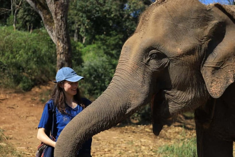 Chiang Mai: Doi Inthanon Hiking & Elephant Sanctuary Program - Living Green Elephant Sanctuary: feeding, walking, and mud baths
