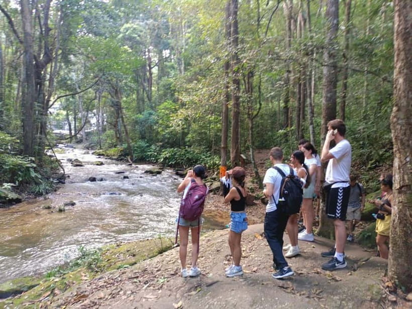 Chiang Mai: Doi Inthanon Hiking & Elephant Sanctuary Program - The Karen hilltribe coffee farm stop